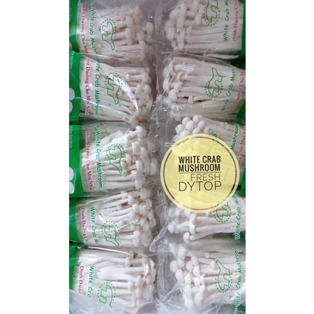 

Jamur Salju White Crab Mushroom Import Fresh Segar - Per Box