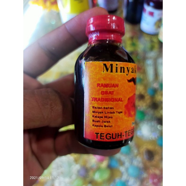 Minyak lintah tapa minyak pembesar 50ml