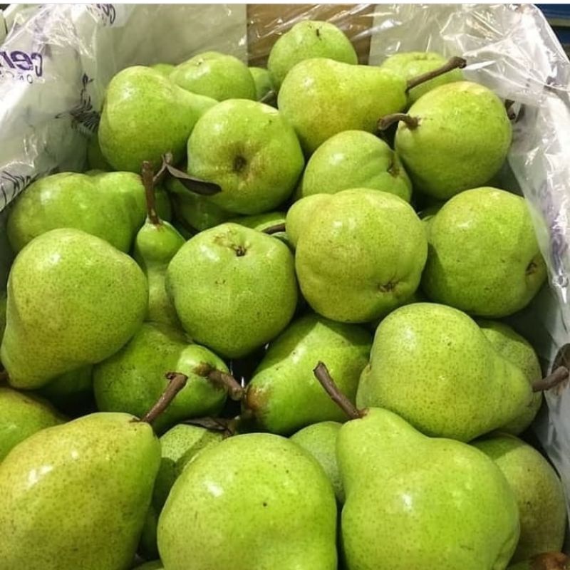 

buah pear packham [1kg]