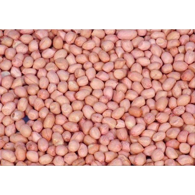 

Kacang tanah mentah kupas