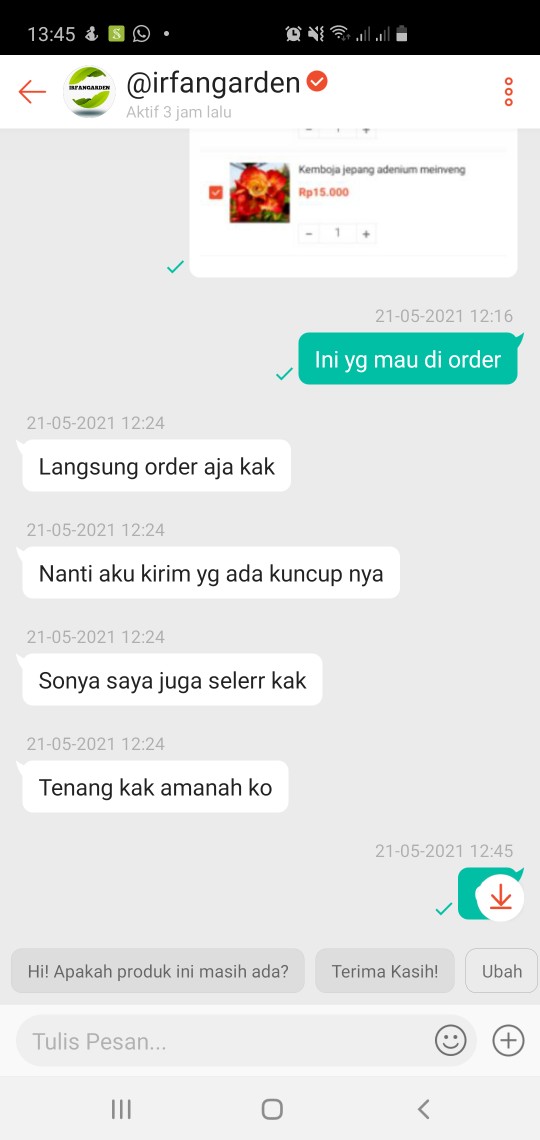 Benih Adenium Desert 3x White Purple