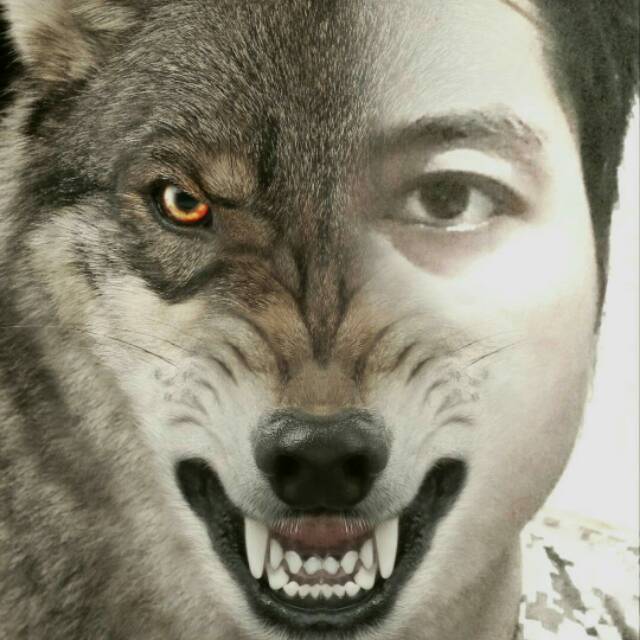 naharfiqi