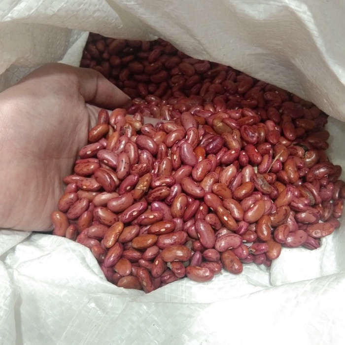 

10cscss Kacang Merah Kering Kualitas Super Dscscv