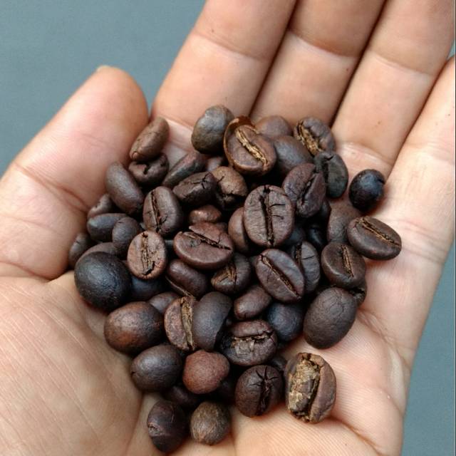 

Biji Kopi Robusta Sangrai 250 gram