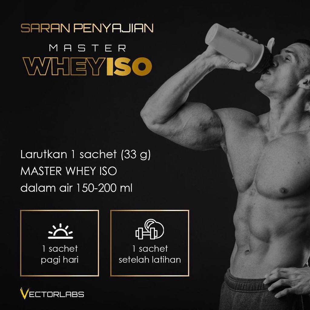 Vectorlabs Master Whey ISO Box 12 Sachet Susu Protein Isolate