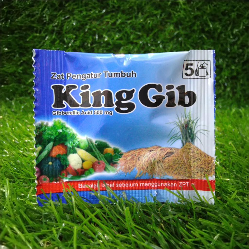 King Gib Zat Pengatur Tumbuh ZPT Pembesar Buah KING GIB 5 Gram