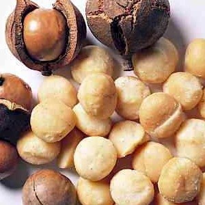 

kacang macadamia panggang 500grm/roasted macadamia