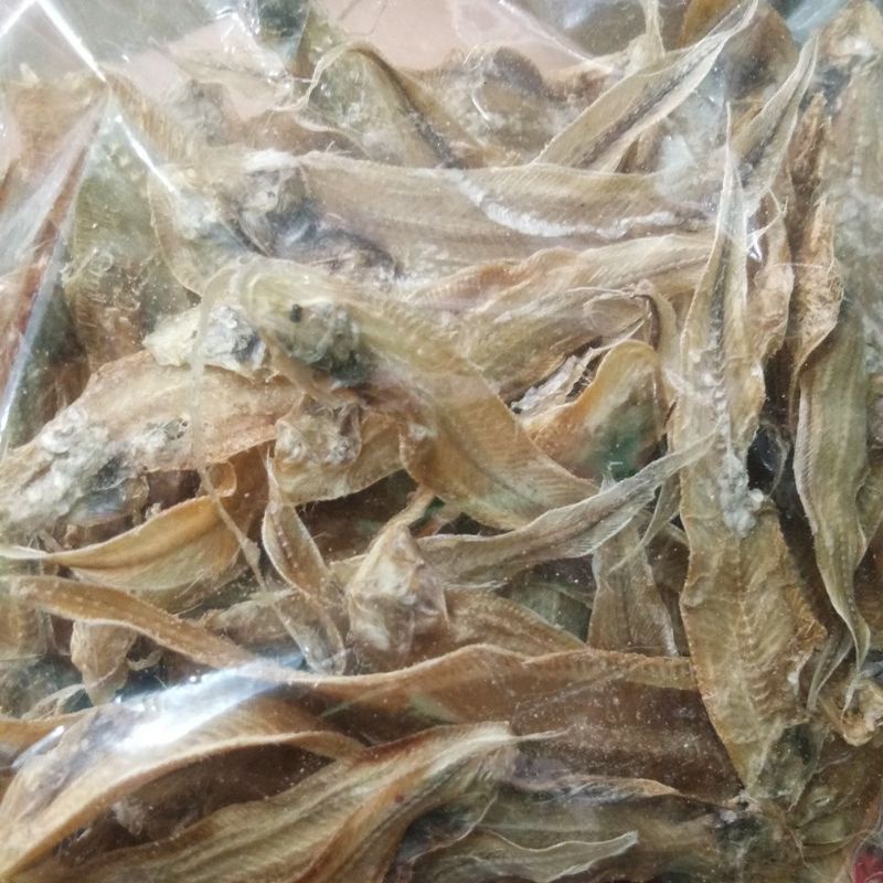 

Ikan tawar lidah gesek kecil 100gram / Makanan Laut tawar seafood / Thua se kia sinaboi Bagan