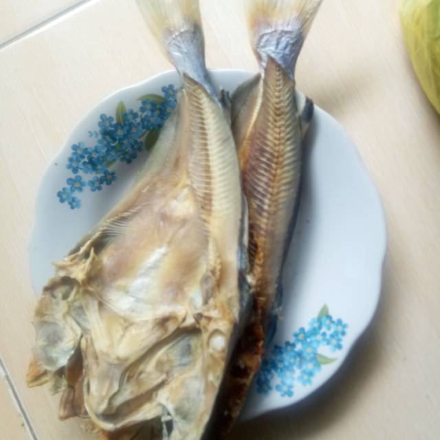 Ikan duri laut