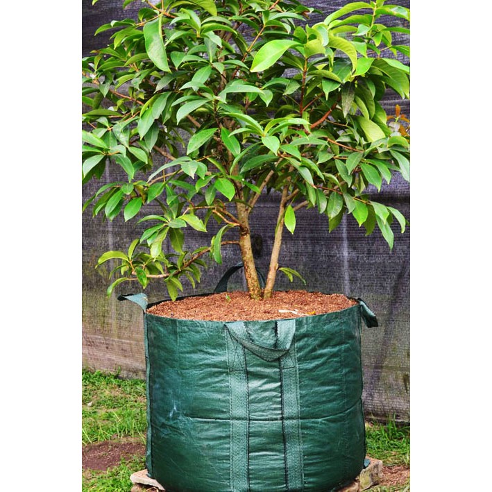 Planter bag 300 Liter EASY GROW planterbag 300liter easygrow kantong Pot polybag semai benih bibit Tanaman buah planter bag 300L