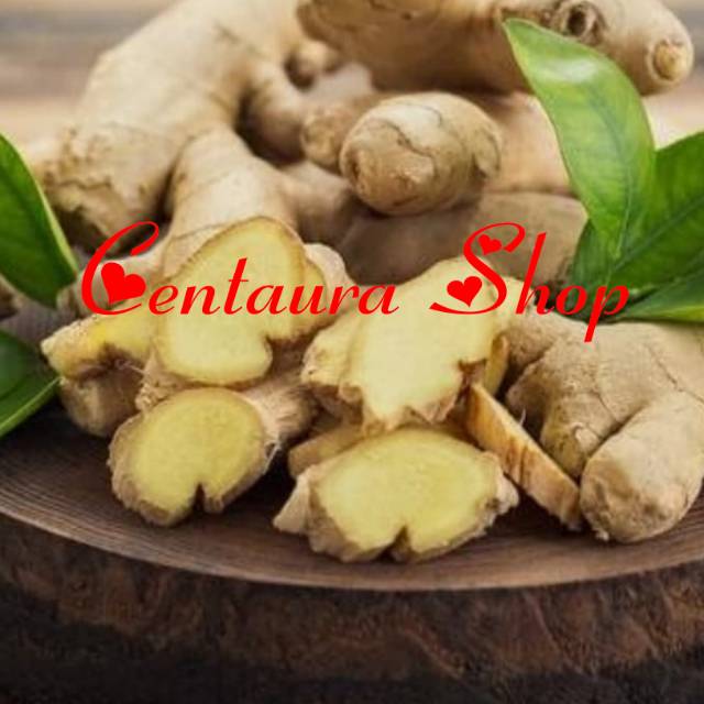 

Jahe Kebo Kwalitas Super Unggul 1000gr