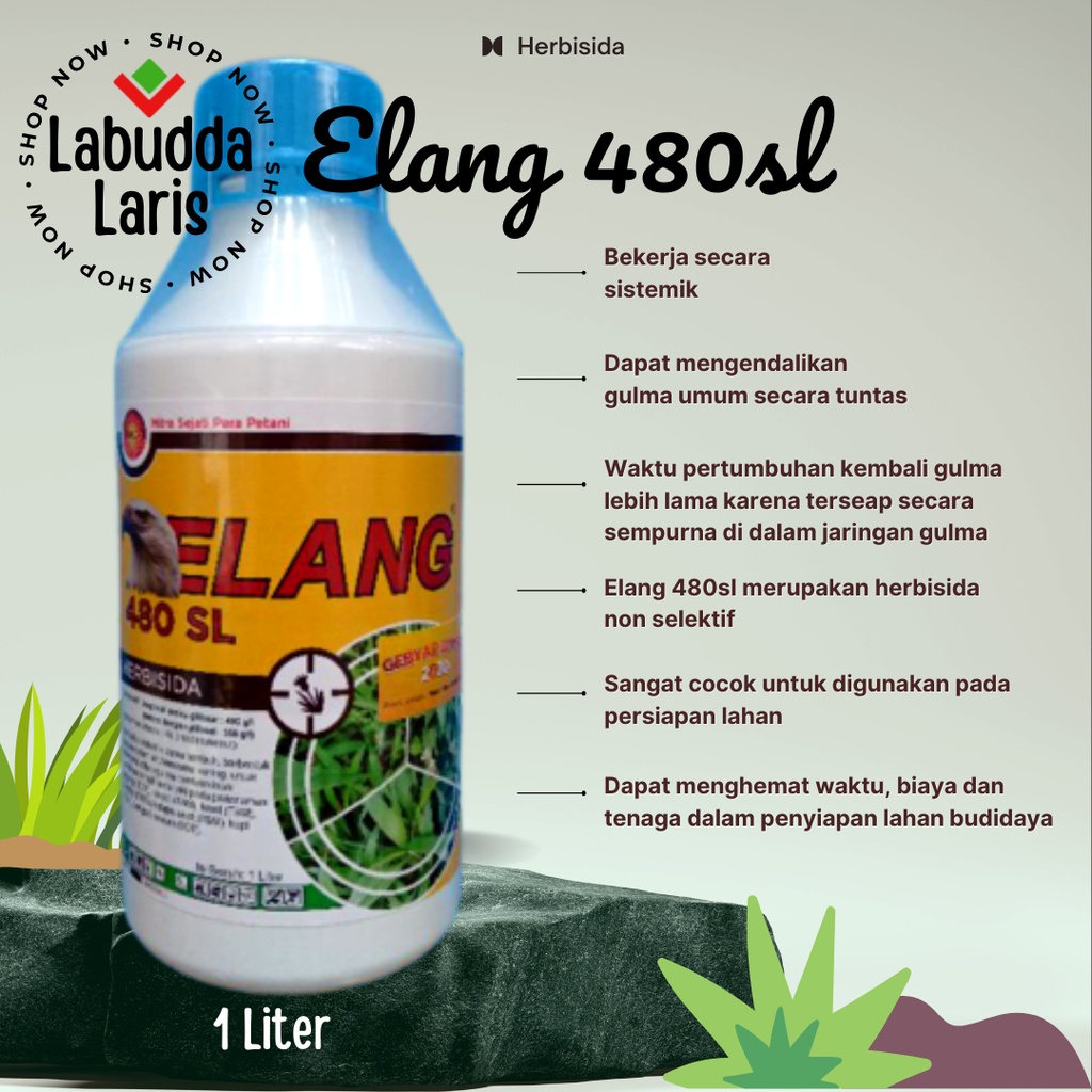 Elang Herbisida Rumput Herbisida Sistemik 1 Liter Herbisida Elang 1 Liter Elang 480SL Ampuh Mengenda