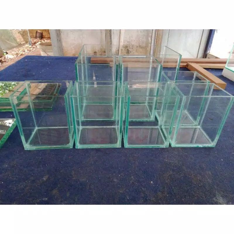 Soliter cupang/ soliter gepi 10x10x15