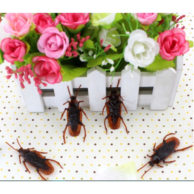 kecoa mainan ( Bahan Karet ) / Mainan Kecoa Dewasa