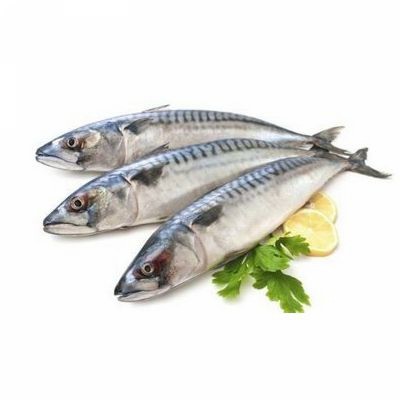 

PASAR ONLINE MURAH - IKAN TENGGIRI SEGAR 500GR