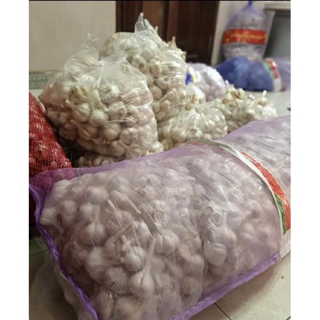

Bawang putih kating super