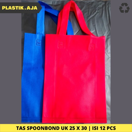 

TAS SPUNBOND GOODIE BAG UK 25 X 30 | ISI 12 PCS