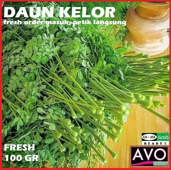 

daun kelor fresh segar per 100 gr