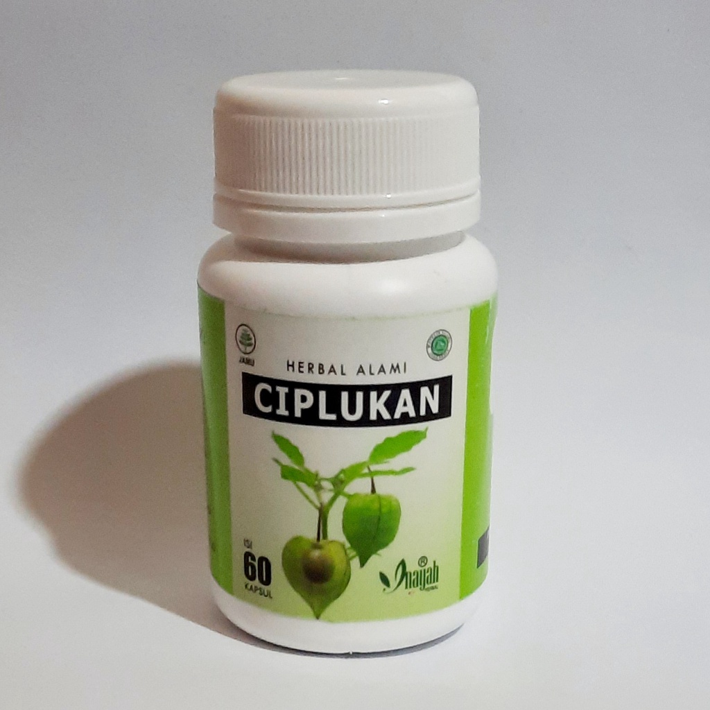 Kapsul Ciplukan Herbal Alami 60 Kapsul Inayah Herbal