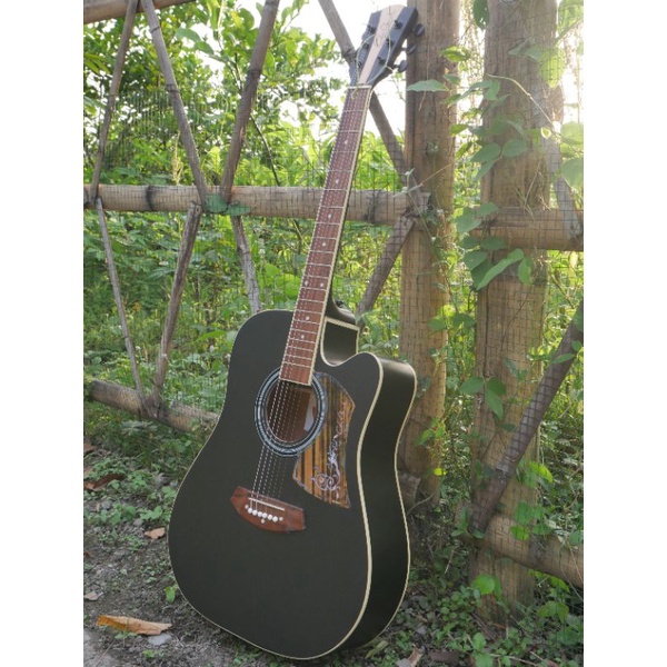 GITAR AKUSTIK COLE CLARK Custom GRATIS PACKING KAYU