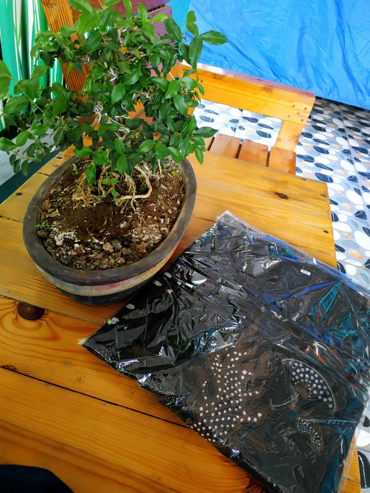 Janitra Baju Batik Lengan Panjang Lapis Furing Katun Sragenan Hq Size M-xxl Batik Solo