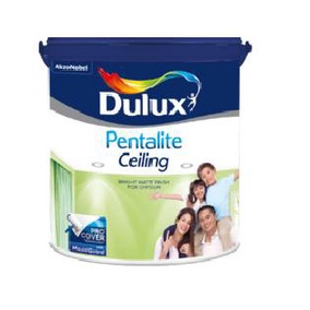 :::::::] DULUX PENTALITE CEILING