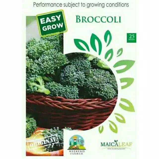 

BROCCOLI isi 20 biji