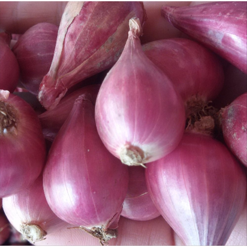 

Bawang Merah 250 Gram