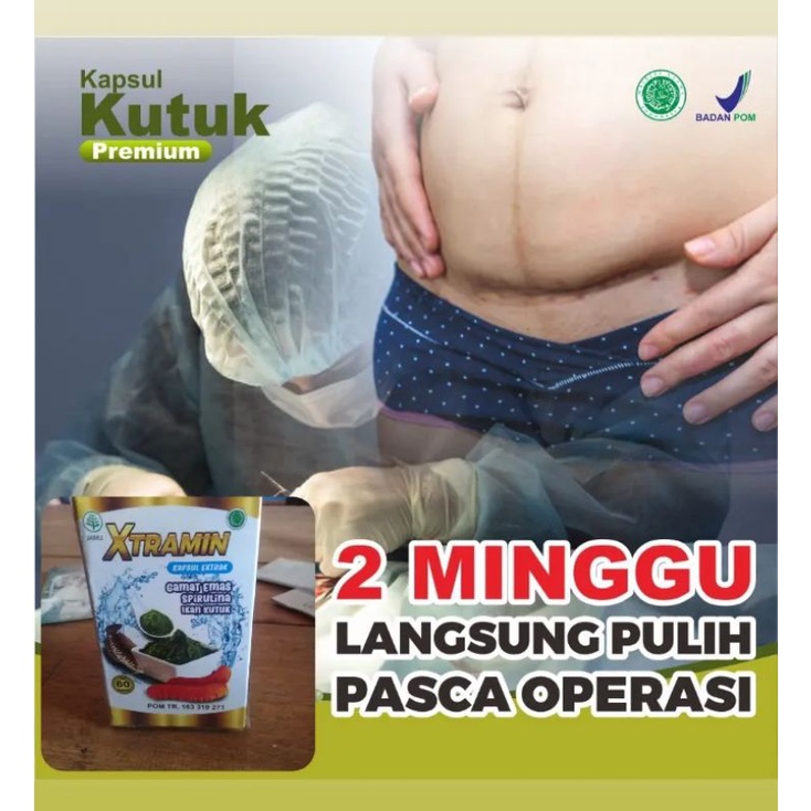 kutuk ikan gabus xtramin