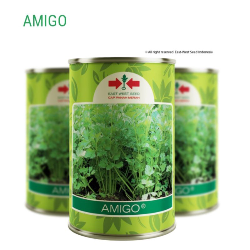 Benih Seledri AMIGO 50 GRAM