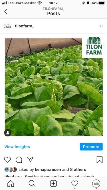 Box Kotak Samson Coklat Corrugated Tebal Bisa Untuk Hampers, Kotak Sepatu Dll