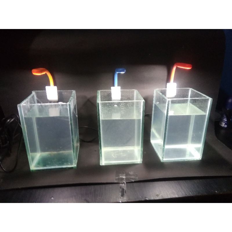 Lampu soliter aquarium cupang