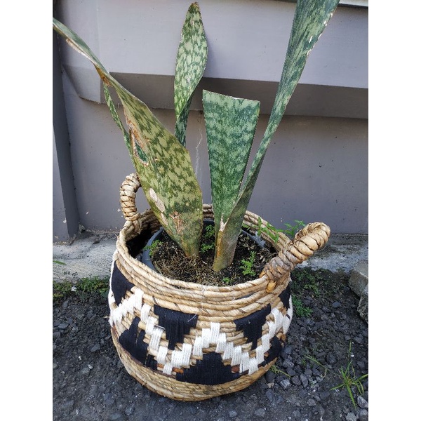 KERANJANG ANYAMANAN BANANA RAJUT MACRAME / KERANJANG SERBAGUNA /POT ANYAMAN BIG SIZE ECER