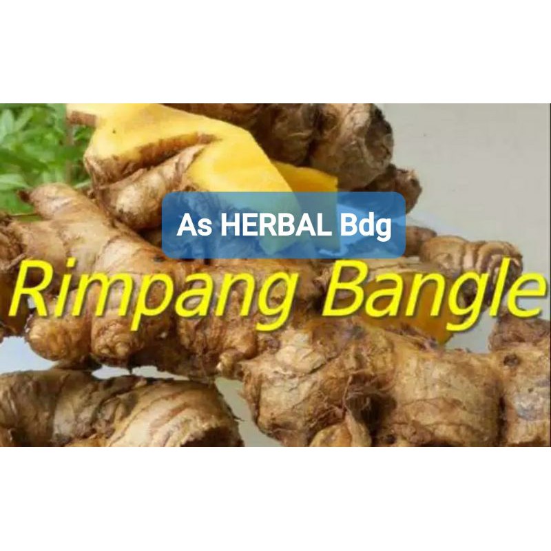 

Rimpang Bangle Segar 1 Kg / bangle asli-az