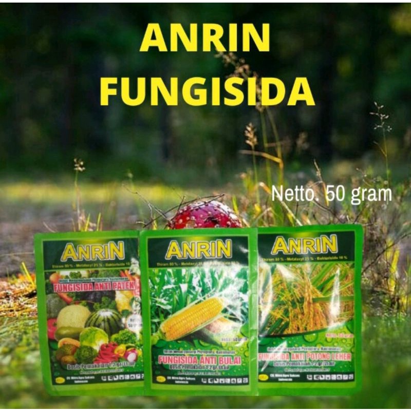 Anrin Fungisida Anti Bulai Jagung Anti Patek Anti Potong Leher Padi Kemasan 50gr dg 3 Bahan Aktif Original Pabrik