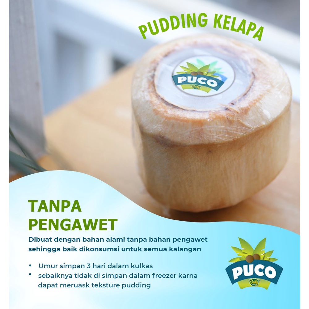 Puding Kelapa Muda Asli PUCO Ala Thailand PUDDING COCONUT by Daily Food