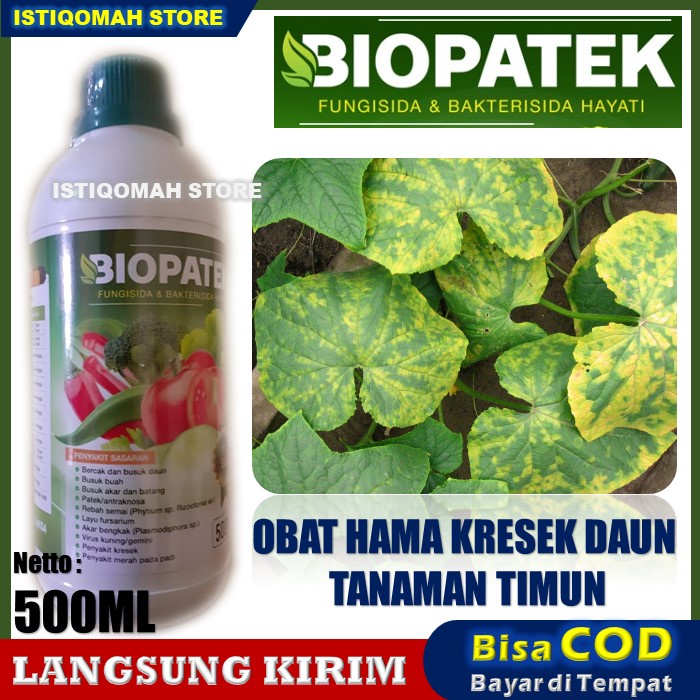 BIOPATEK Fungisida Hayati Obat Mengatasi Penyakit Kresek pada Mentimun Bonteng Padi &amp; Tanaman Lainnya - Obat Penyakit Kresek Pada Timun - Fungisida Untuk Kresek Daun Timun - Obat Kresek Pada Tanaman Melon - Penyakit Kresek Pada Tomat Timun Bonteng