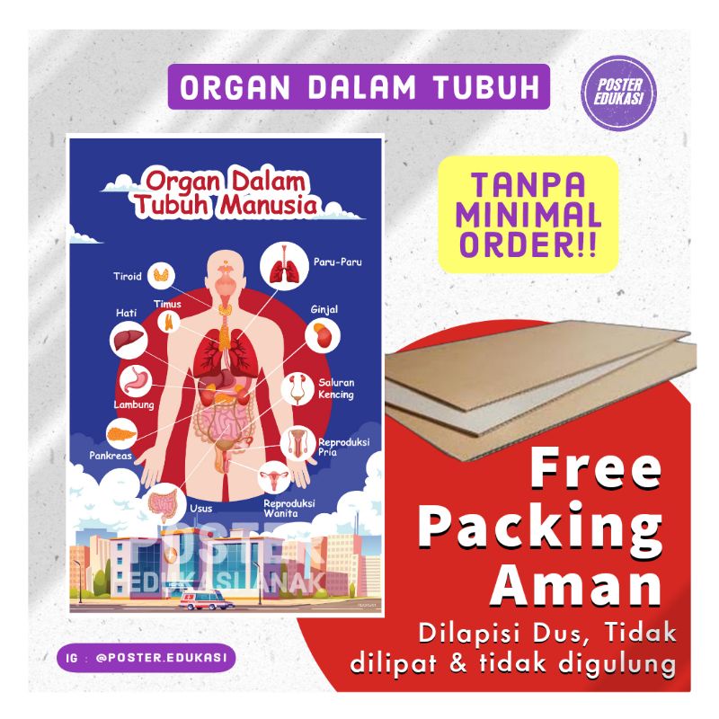 Poster Edukasi Anak "Organ dalam tubuh manusia"