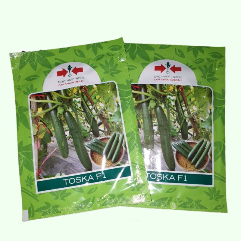 BENIH TIMUN JEPANG TOSKA / KREI / IJO