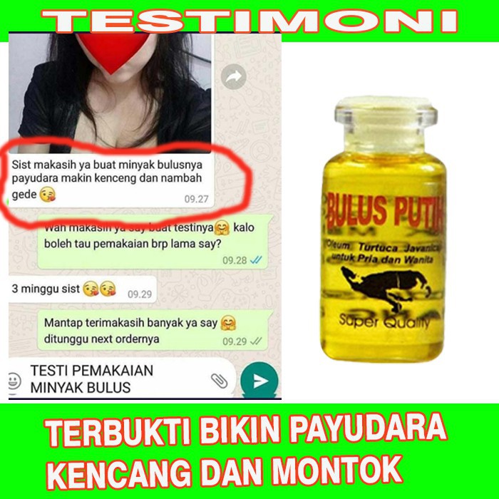 Minyak Bulus putih ori asli original memuluskan kulit wajah jerawat dan pembesar payudara