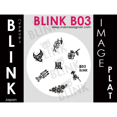 BLINK Image Plate B01-B09