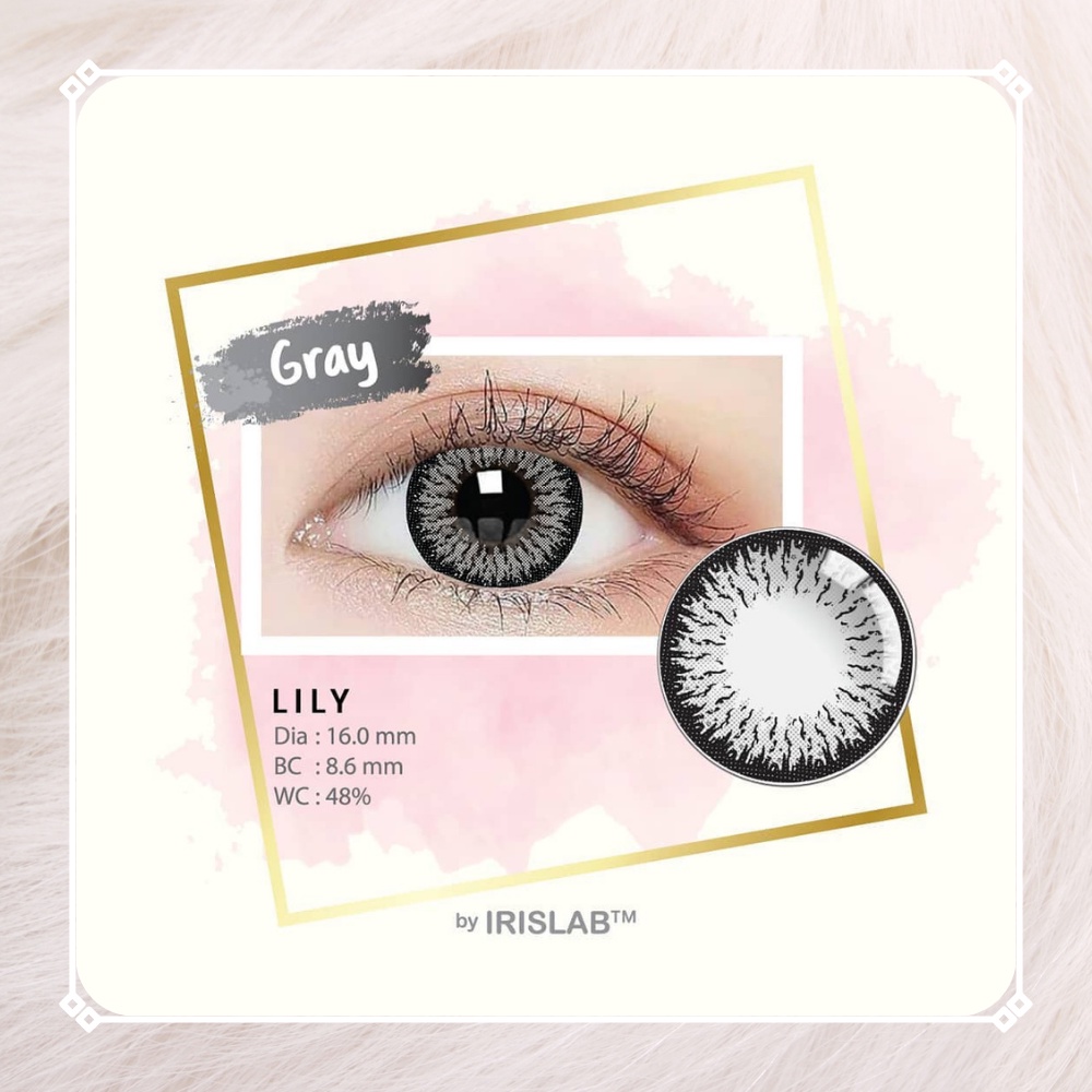 SOFTLENS LILY NORMAL BY IRIS LAB