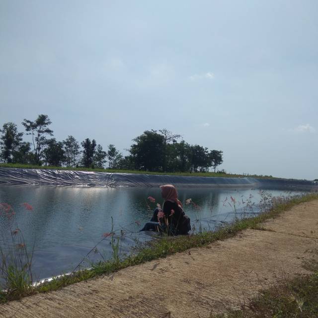 ocktafianilestari