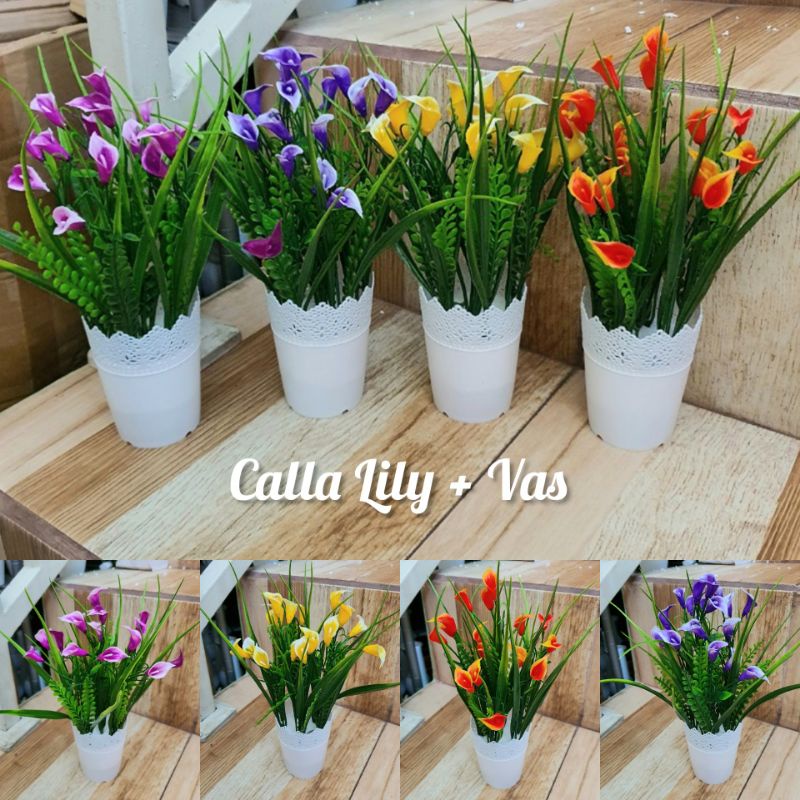 Bunga Calla Lily + Vas