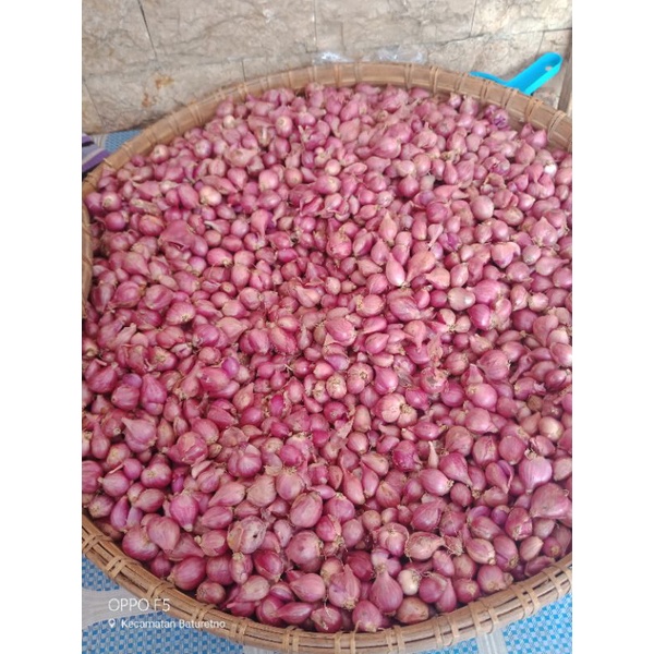 

Bawang Merah campur 1 kg