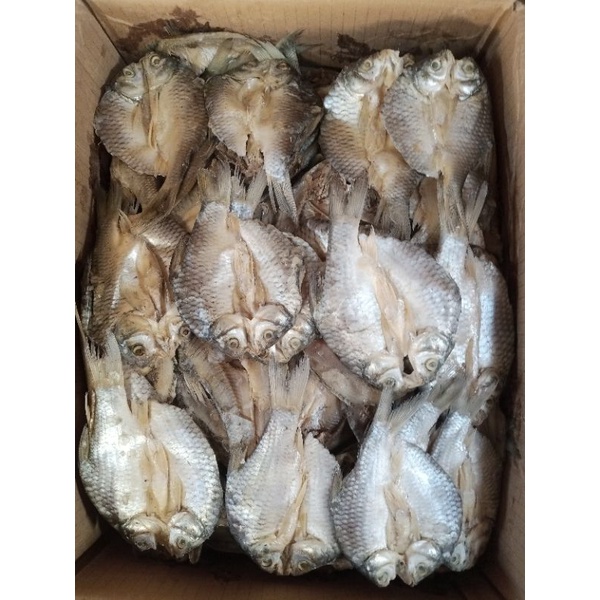 

Ikan Asin TAWES BELAH / WADER Kering 100 Gram