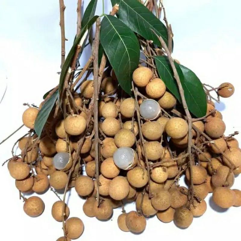 Buah Kelengkeng / Berat 500 Gram