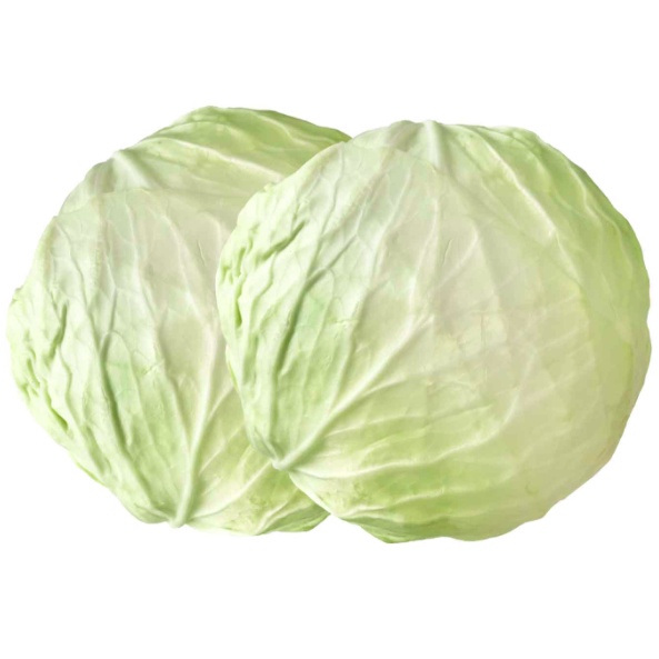 

SAYUR KOL HARGA PER 1KG