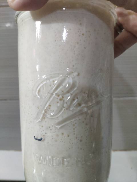 

SOURDOUGH STARTER KERING/ Dried - Ragi Alami KERING