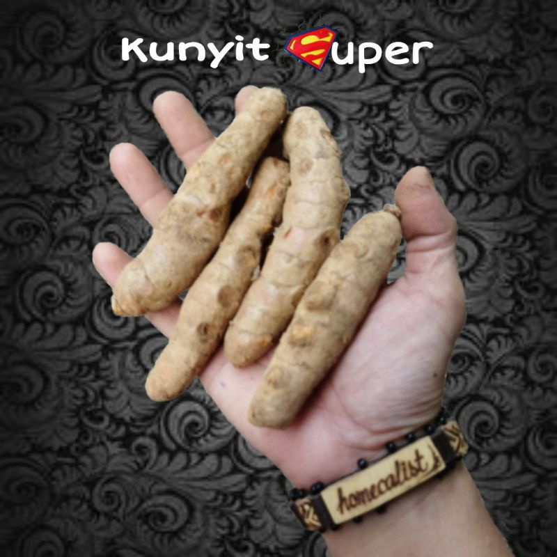 

kunyit 1 kg - kunyit Segar - kunir